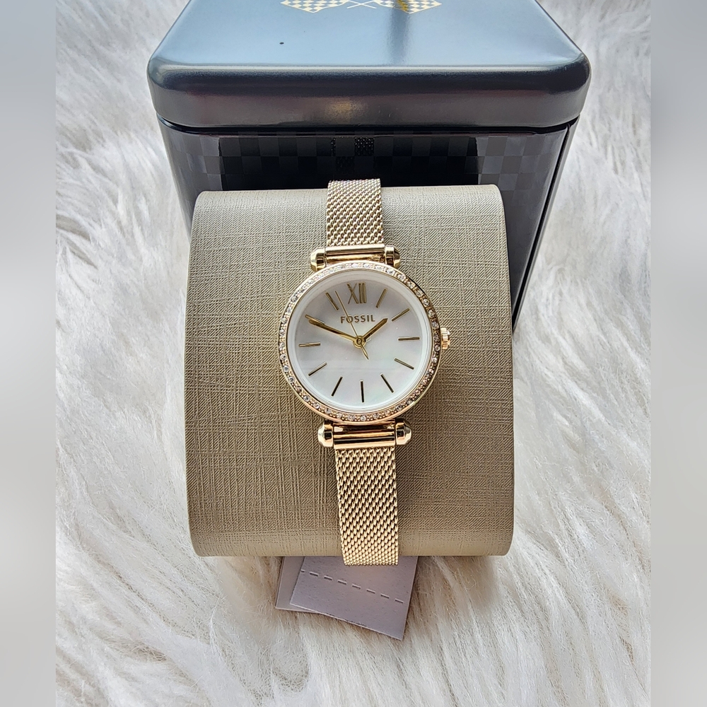 Fossil Watch Original Brand New With Tag